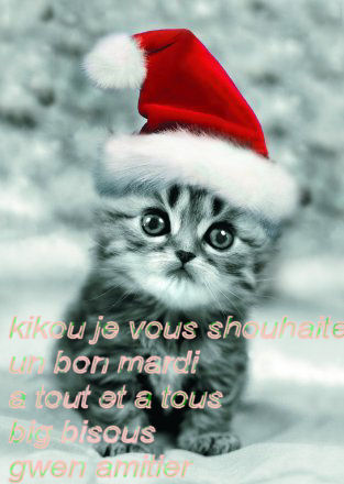 kikou a tous