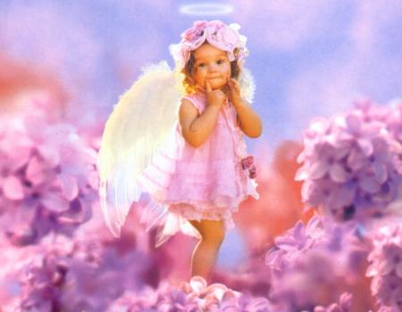 le petit ange