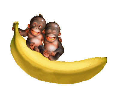 aaaaa