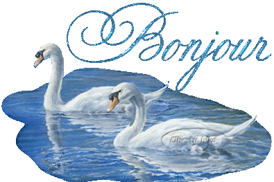 bonjour